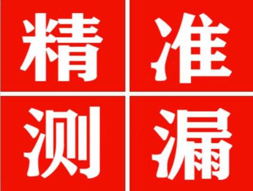 宝丰尚嘉漏水精准查找